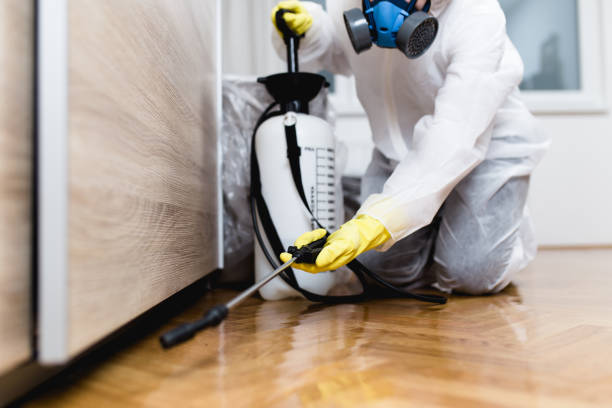 Professional Pest Control in Lawrenceville, NJ