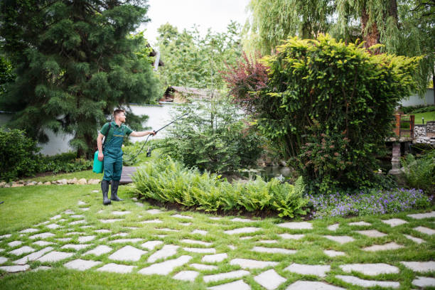 Best Pest Control Near Me  in Lawrenceville, NJ