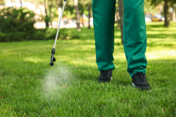 Best Mosquito Control Services  in Lawrenceville, NJ