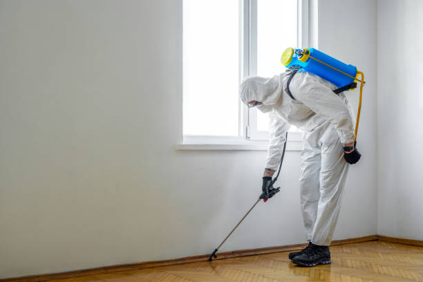 Best Residential Pest Control  in Lawrenceville, NJ
