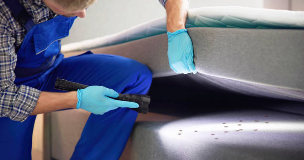Best Exterminator Services  in Lawrenceville, NJ