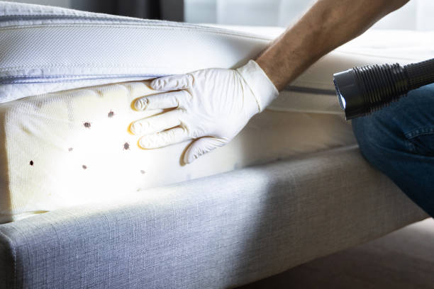 Best Bed Bug Extermination  in Lawrenceville, NJ