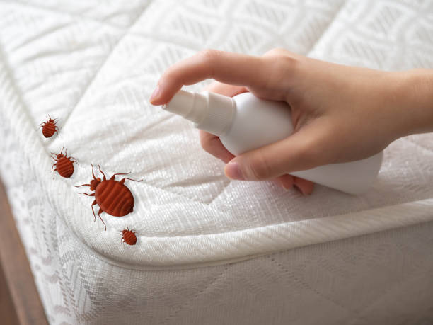 Best Pest Prevention Services  in Lawrenceville, NJ
