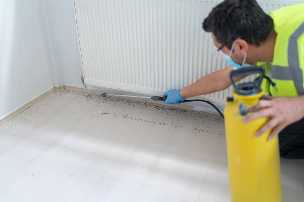 Best Commercial Pest Control Services  in Lawrenceville, NJ