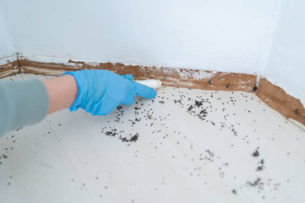 Best Affordable Exterminators  in Lawrenceville, NJ
