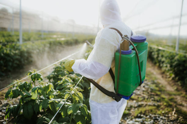 Best Best Pest Control Companies  in Lawrenceville, NJ